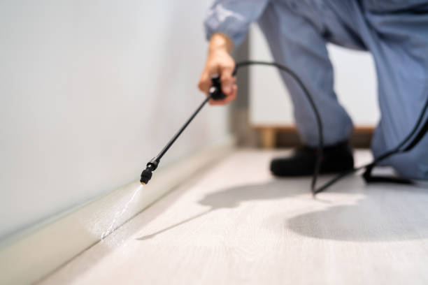 Bed Bug Pre-Treatment Preparation Assessment in Olney