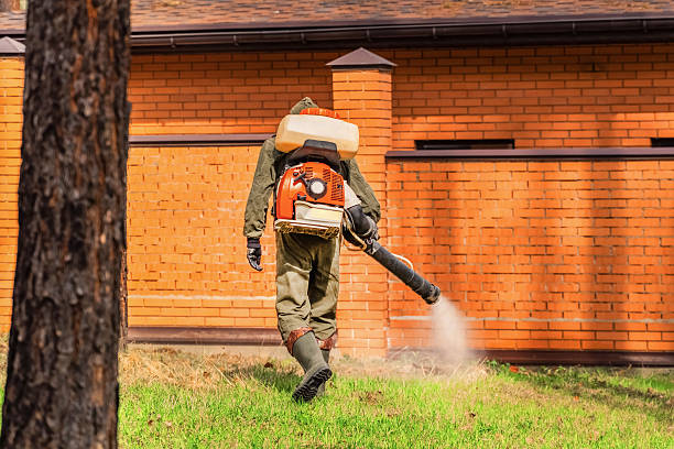 Bed Bug Clearance Verification and Documentation in Olney